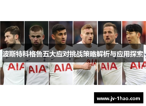 波斯特科格鲁五大应对挑战策略解析与应用探索